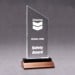 Acrylic Peak Award - 4x9