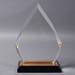 Diamond Impress Award - Gold - 5